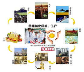 上海自贸区进口葡萄牙原装橄榄油，如何选择专业报关公司？